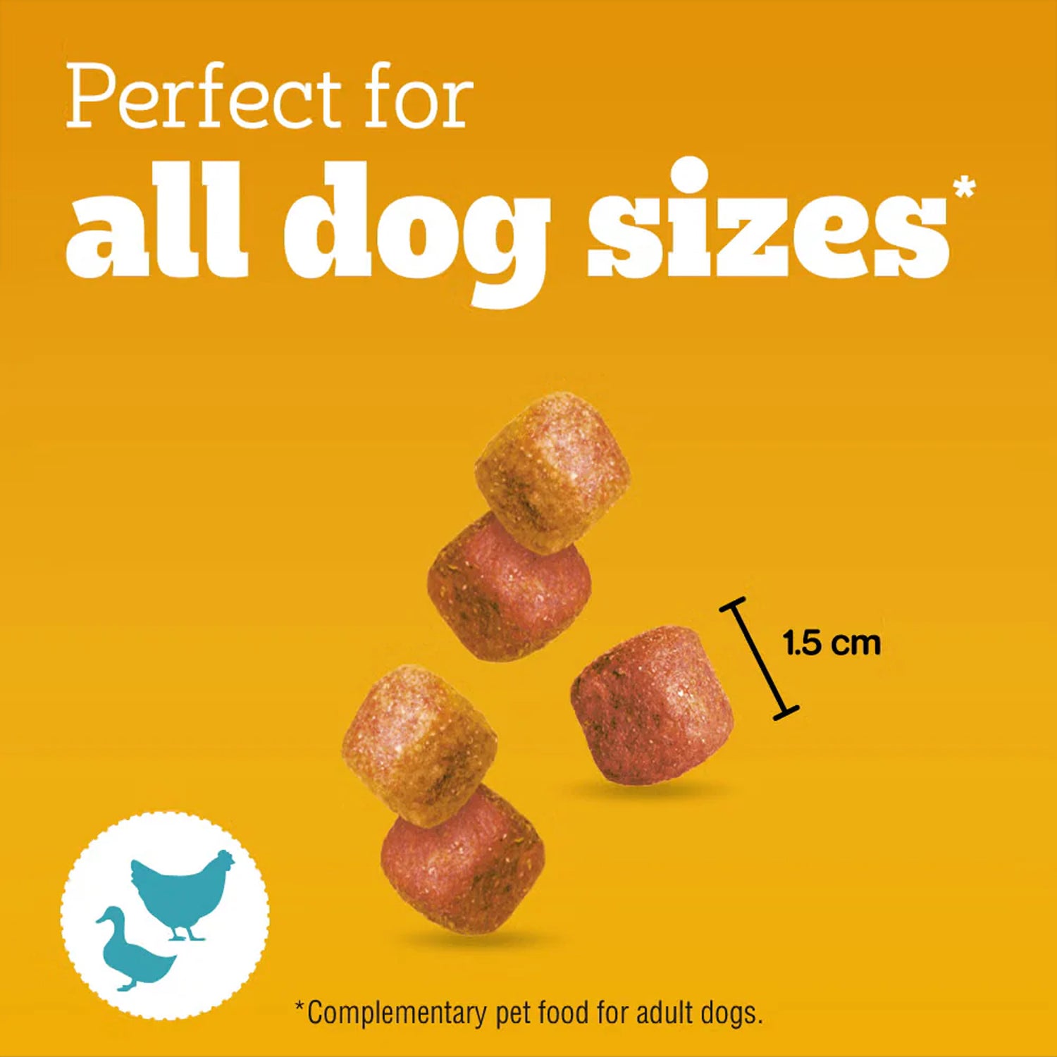 PEDIGREE TASTY MINIS Adult Dog Treats Chicken & Duck Chewy Cubes 130g